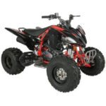 Vitacci Pentora 250 ATV for Sale - Image 18