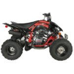 Vitacci Pentora 250 ATV for Sale - Image 9