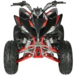 Vitacci Pentora 250 ATV for Sale - Image 20