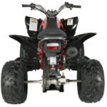 Vitacci Pentora 250 ATV for Sale - Image 21