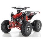Vitacci Blazer 9 DLX Go-Kart with Reverse and Electric Start