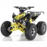 Vitacci Blazer 9 DLX Go-Kart with Reverse and Electric Start - Image 2