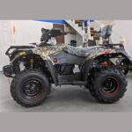 Big Horn 300 (4X4) DX Automatic ATV - Image 2