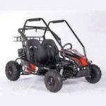 200 WOLF Fully Automatic kid's GO KART - Image 22
