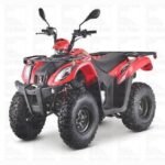 200 BULL UTILITY ATV | Automatic with Reverse - Image 2