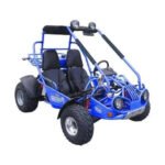 TM 200 XRX GO KART BUGGY - Image 4