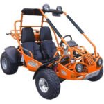 TM 200 XRX GO KART BUGGY - Image 2