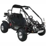 300cc Go Kart XRX-E EFI Fuel Injected Automatic CVT w/Reverse Dune Buggy - Image 6