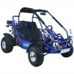 300cc Go Kart XRX-E EFI Fuel Injected Automatic CVT w/Reverse Dune Buggy - Image 3