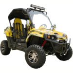 TM CHALLENGER 200X DELUX UTV - Image 3