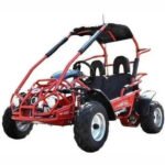 TM EAGLE MID XRX GO KART