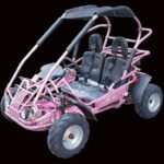 TM MID 200 XRX/R GO KART BUGGY