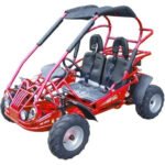 TM MID 200 XRX/R GO KART BUGGY - Image 2