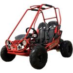 TM EAGLE MINI XRX+ GO KART 163cc