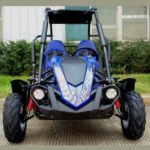 TrailMaster Blazer 200R Go Kart - Image 9