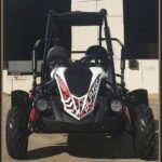 TrailMaster Blazer 200R Go Kart - Image 3