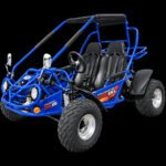 TrailMaster 200E XRS Go Kart | EFI