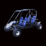 TM BOBCAT EFI 300 XRS4 Go Kart Trailmaster 300cc CVT Automatic with Reverse