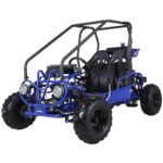 GK125 Automatic GO KART with Reverse - Image 3