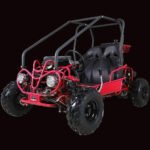GK125 Automatic GO KART with Reverse