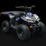 XR 110CC Automatic ATV with Reverse