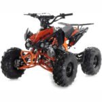 Apollo - BLAZER 9 125CC ATV AUTOMATIC W/ REVERSE - Image 5