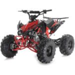 Apollo - BLAZER 9 125CC ATV AUTOMATIC W/ REVERSE
