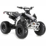 Apollo - BLAZER 9 125CC ATV AUTOMATIC W/ REVERSE - Image 8