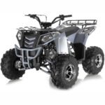 COMMANDER DLX 125CC AUTOMATIC ATV W/ REVERSE - Image 6
