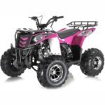 COMMANDER DLX 125CC AUTOMATIC ATV W/ REVERSE - Image 4