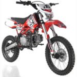 DB-X19 125cc MANUAL 4-SPEED Dirt Bike - Image 3