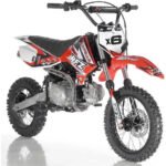 DB-X6 125cc AUTOMATIC Dirt Bike - Image 4