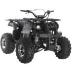 Focus 10 DLX ATV | 125CC - Image 2