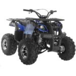 Focus 10 DLX ATV | 125CC
