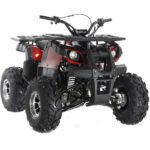 Focus 10 DLX ATV | 125CC - Image 3