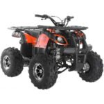 Focus 10 DLX ATV | 125CC - Image 4