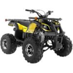 Focus 10 DLX ATV | 125CC - Image 5