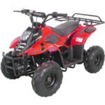 HAWK 110CC AUTOMATIC ATV - Image 16