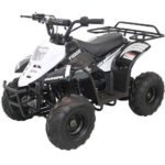 HAWK 110CC AUTOMATIC ATV - Image 18