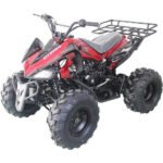 JET 9 125CC AUTOMATIC ATV - Image 2