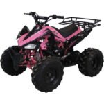 JET 9 125CC AUTOMATIC ATV - Image 8