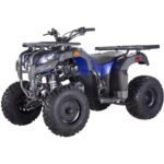 Pentora 250CC Utility Manual Clutch ATV
