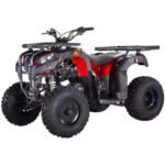 Pentora 250CC Utility Manual Clutch ATV - Image 2