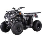 Pentora 250CC Utility Manual Clutch ATV - Image 3