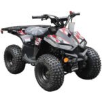 XR 110CC Automatic ATV with Reverse - Image 3